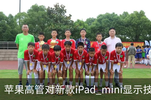 苹果高管对新款iPad mini显示技术的论述及其市场定位分析